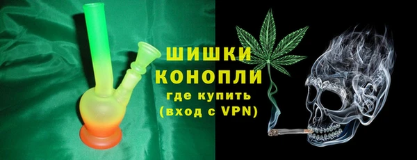 трава Аркадак