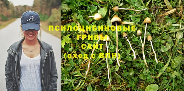 трава Аркадак