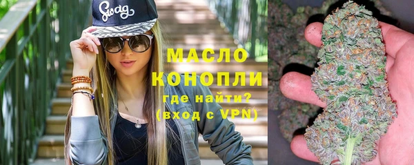 шишки Ельня