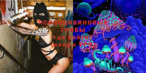 трава Аркадак