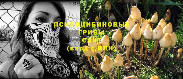 Альфа ПВП Козельск