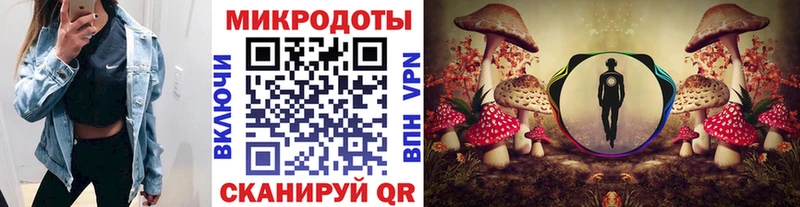 Псилоцибиновые грибы мицелий Снежногорск